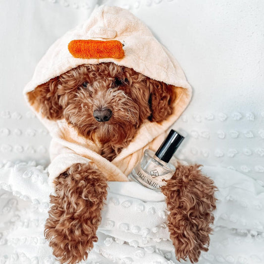 Perfumes for Your Pet - The Wonders of Making Your Dog Smell Good