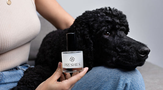 How to safely apply dog perfume