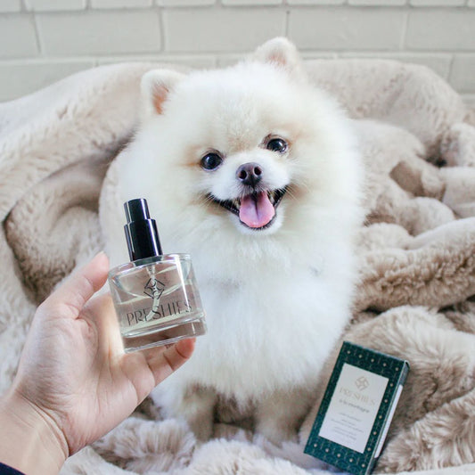 preshies dog perfume eliminate canine odor