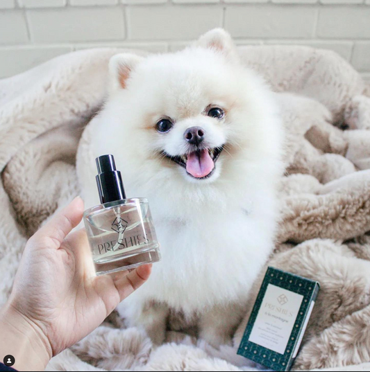 Preshies Dog Perfume & Coat Conditioner